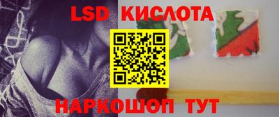 винт Кандалакша