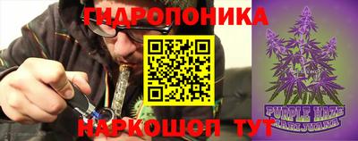 скорость Камышлов