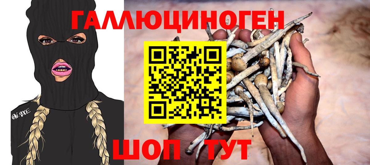 Галлюциногенные грибы мицелий  Вход с VPN  Кстово  Псилоцибиновые грибы Psilocybe 